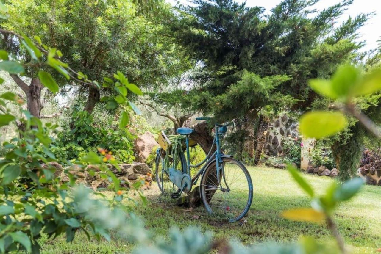 Villa Con Immenso Giardino Orosei Exteriér fotografie